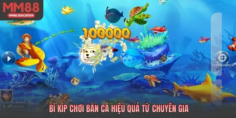 Bí kíp chơi bắn cá hiệu quả từ chuyên gia