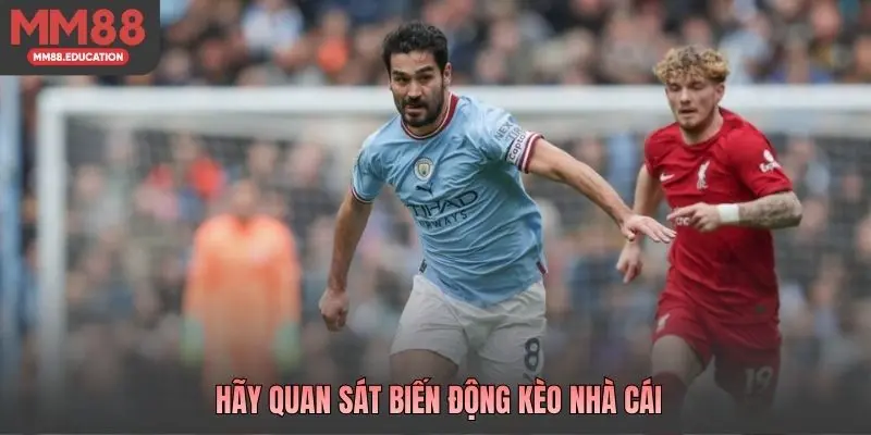 Hãy quan sát biến động kèo nhà cái