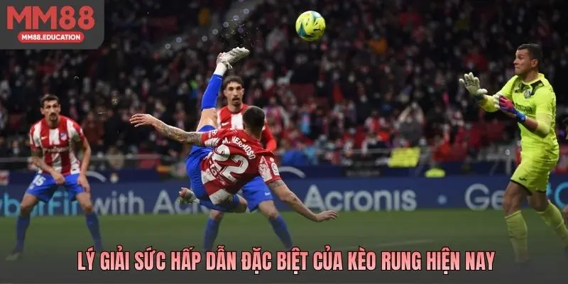 Lý giải sức hấp dẫn đặc biệt của kèo rung hiện nay