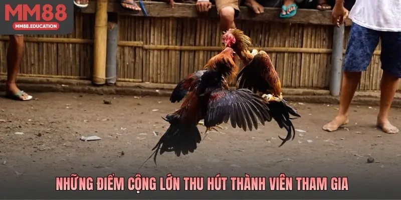 Những điểm cộng lớn thu hút thành viên tham gia