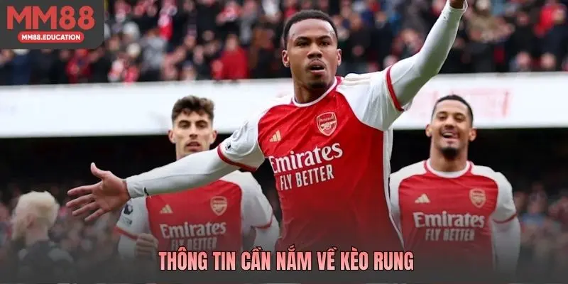 Thông tin cần nắm về kèo rung